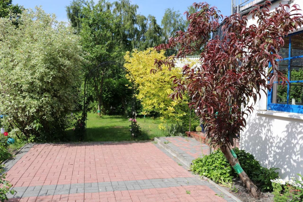 Ferienwohnung Kranichblick Zingst Εξωτερικό φωτογραφία